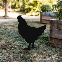 Aberto Design Chicken 01 Negro